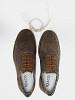 IGI&CO Vyriški klasikiniai batai