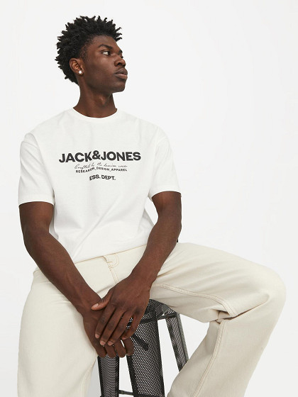 JACK&JONES Vyriški marškinėliai, JJGALE TEE SS O-NECK LN