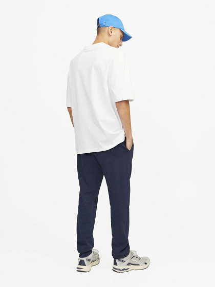 JACK&JONES Vyriškos kelnės, JPSTGORDON JJSWIFT SWEAT PANTS