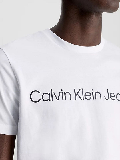 CALVIN KLEIN Vyriški marškinėliai, SLIM ORGANIC COTTON LOGO T-SHIRT CALVIN KLEIN