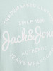 JACK&JONES Vyriški marškinėliai, FOREST
