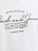 JACK&JONES Vyriški marškinėliai, FERRIS