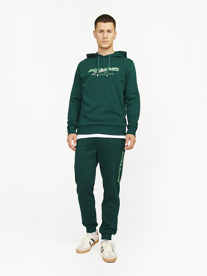 JACK&JONES Vyriškos laisvalaikio kelnės, GORDON