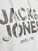 JACK&JONES Vyriškas džemperis su gobtuvu, JAMES